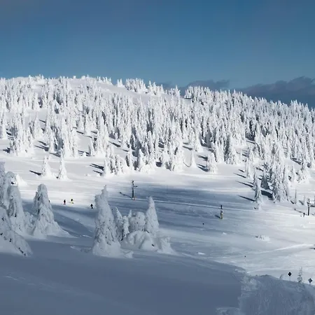 Kostovac Boutique Homes - House 1 Villa