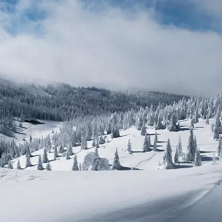 Kostovac Boutique Homes - House 1 Villa